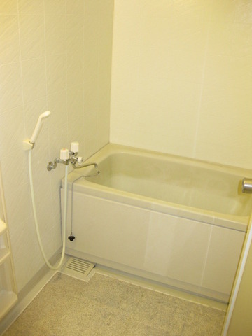Bath. Bathroom (with additional heating function)
