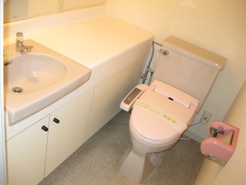 Toilet. Cleaning heat insulation function with toilet