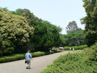 park. Please experience the four seasons in the 1000m city to Koishikawa Botanical Garden