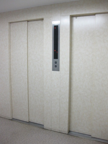 Other common areas. Erebata There are two groups