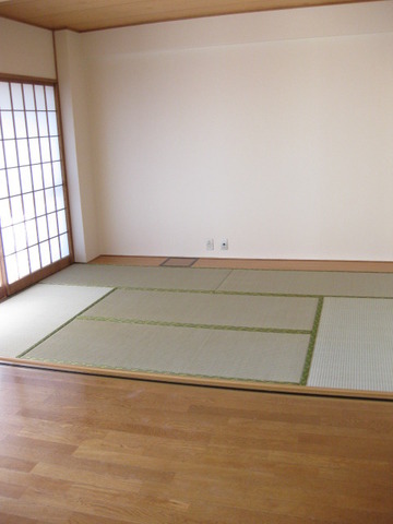 Other room space. Living and Japanese-style has led