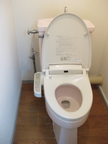 Toilet. Cleaning toilet bowl