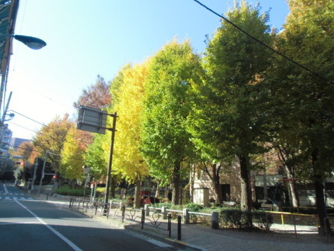 Other. Northwest side Yudate slope and municipal recess Town, East Park (about 10m)