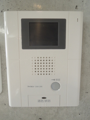 Security. Monitor with intercom