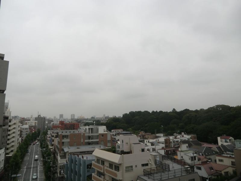 View photos from the dwelling unit. View from local