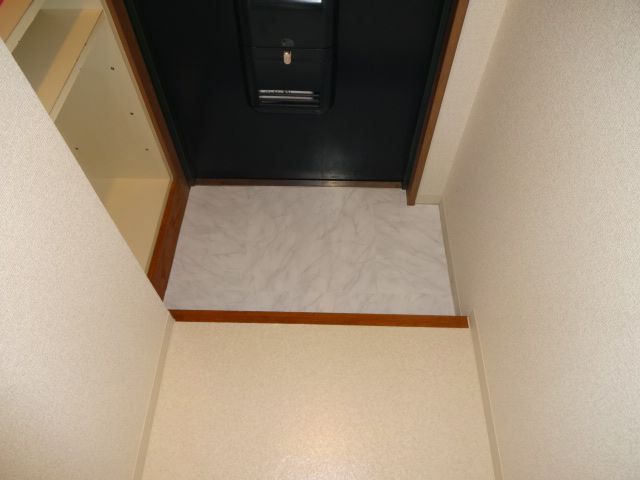 Entrance. Washing machine in the room