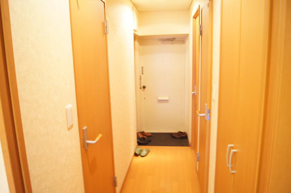 Other introspection. Interior