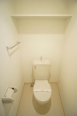 Toilet. Toilet with a shelf