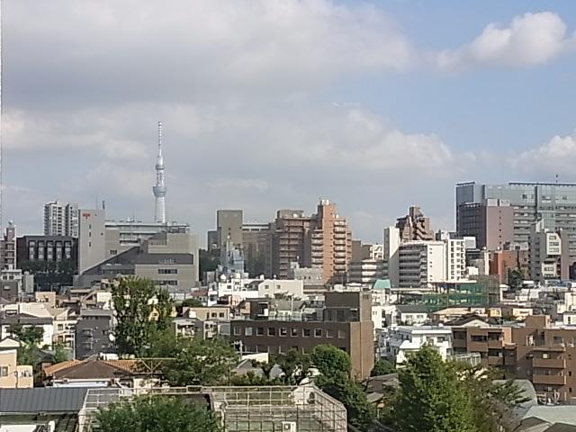 View photos from the dwelling unit. You views of the Sky Tree
