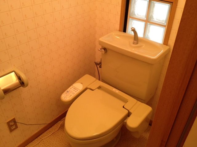 Toilet. Western-style toilet