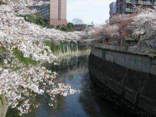 Streets around. 80m to the Kanda River