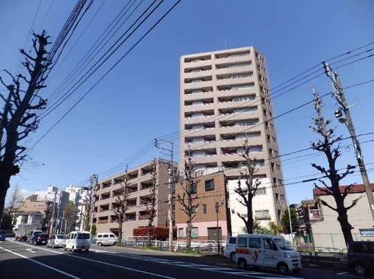 Local appearance photo. 2013 November shooting