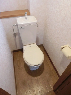 Toilet. Toilet