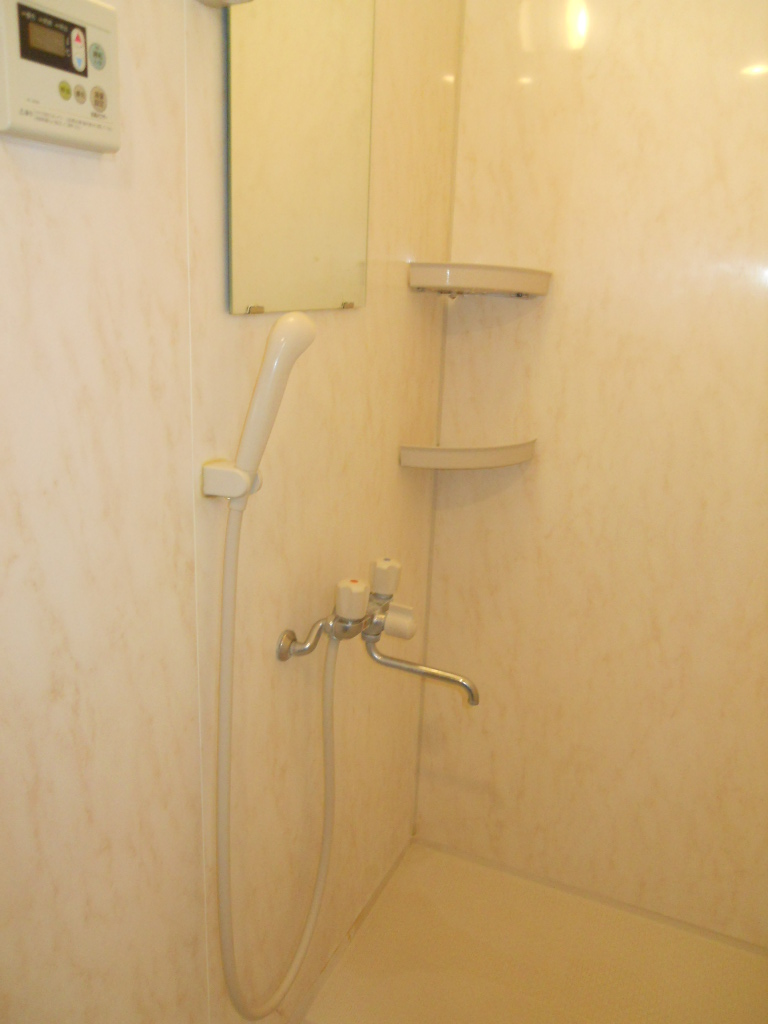 Other. Shared shower room