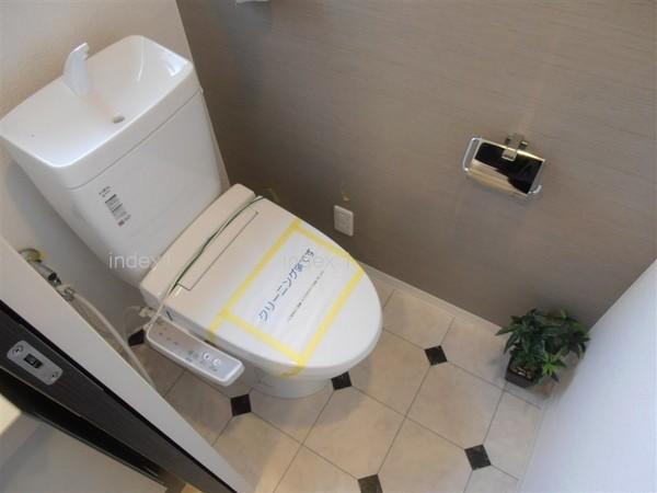 Toilet. Happy with Washlet