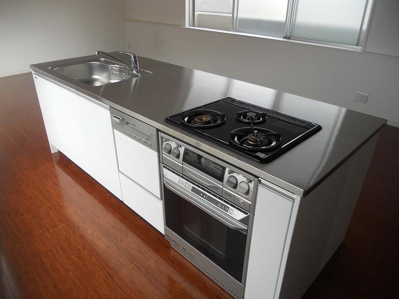 Kitchen. Indoor (10 May 2013) Shooting