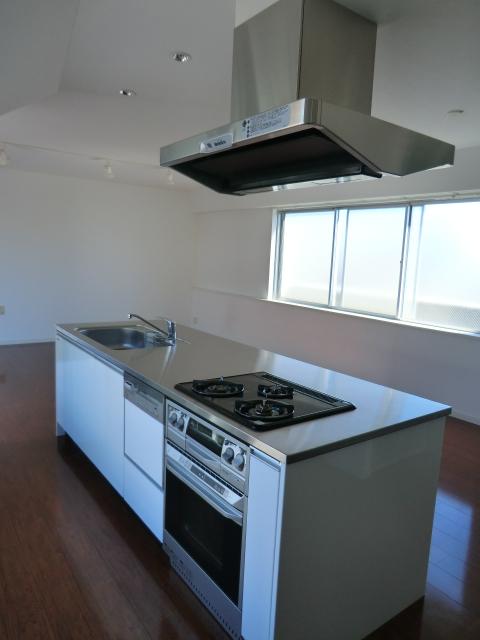 Kitchen. Indoor (10 May 2013) Shooting