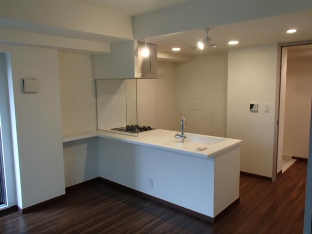 Kitchen. Room (August 2013) Shooting