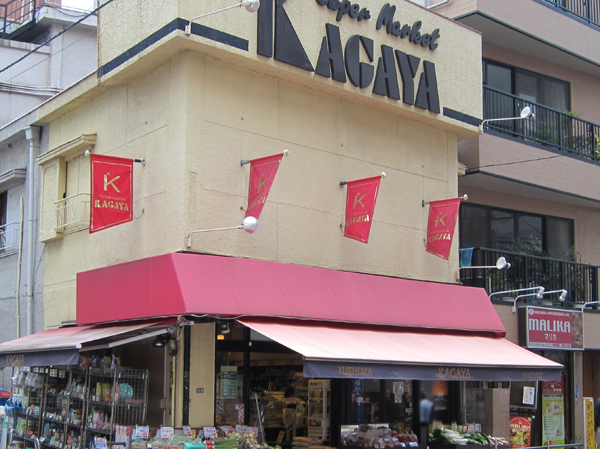 Surrounding environment. Supermarket Kagaya Yushima head office (about 240m ・ A 3-minute walk)