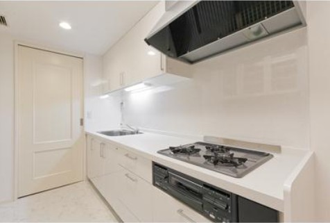 Kitchen. ※ Another floor plan is a reference photograph.