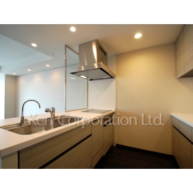Kitchen. Shoot the same type the 14th floor of the room. Specifications may be different.