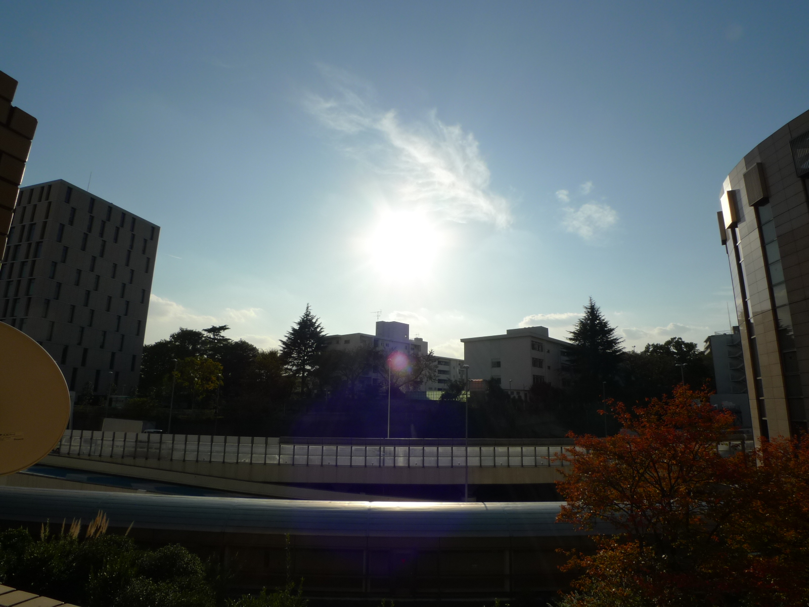 View