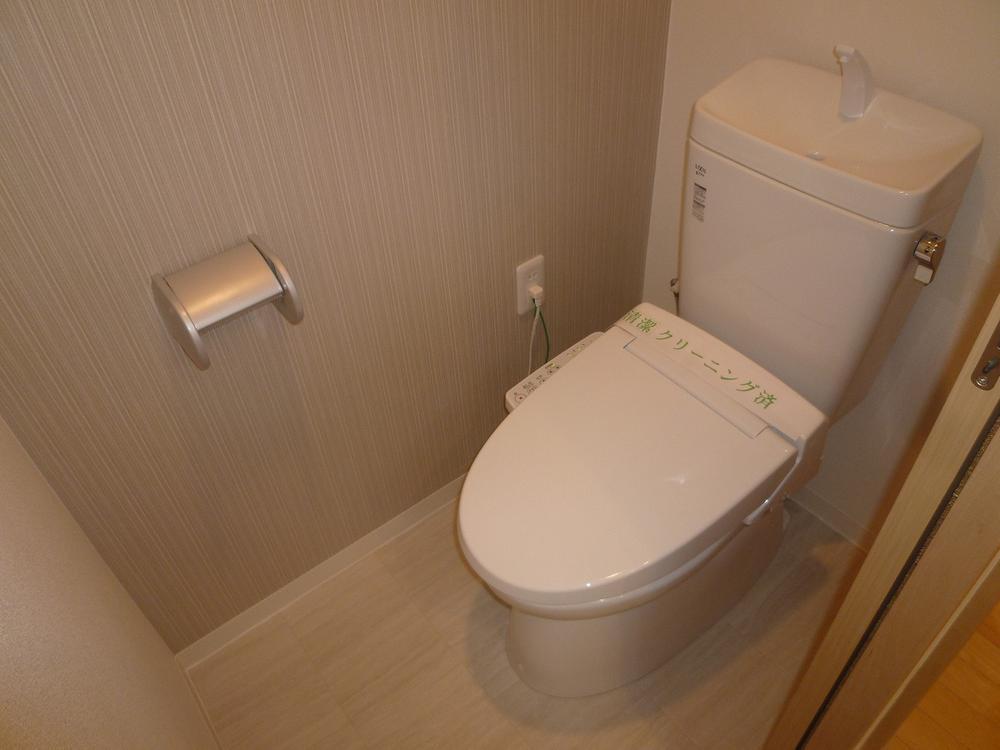 Toilet. Cross of woodgrain it becomes accent.