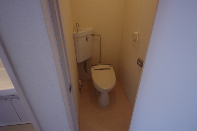 Toilet. Mansion Dan 701