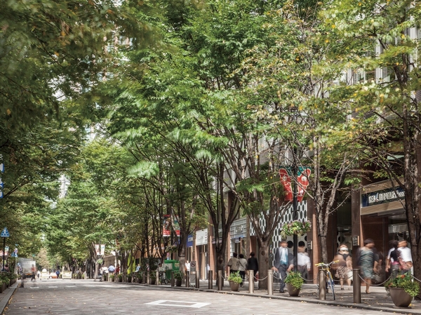 "Marunouchi the surrounding area" (in the vicinity of about 2.4km from local)