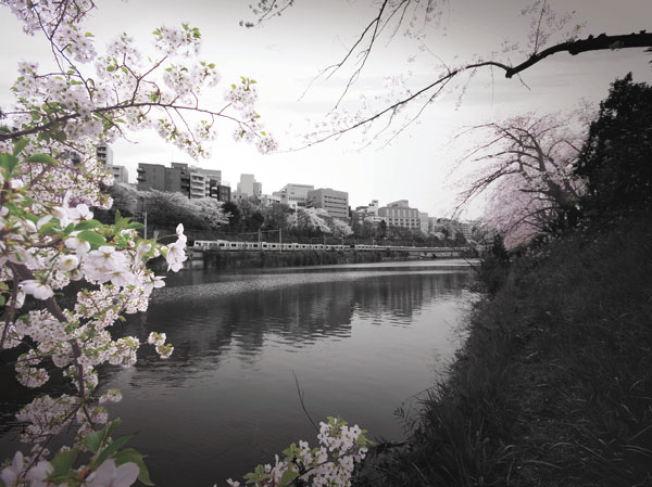 Surrounding environment. Outer moat (about than local 550m) overlooking the Bancho direction than (April 2012 shooting) ※ It has been subjected to some CG processing, In fact a slightly different.