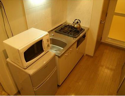 Kitchen. refrigerator, Microwave