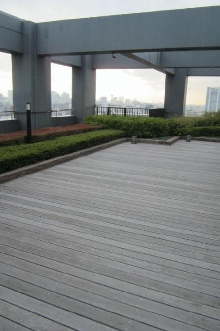 Other common areas. Rooftop garden