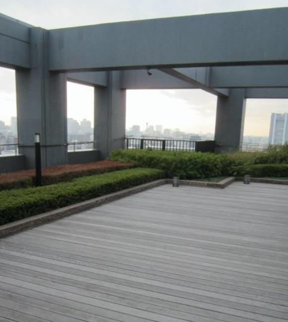 Other common areas. Rooftop garden