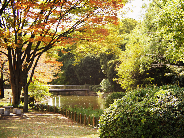 Surrounding environment. Kitanomaru Park (5 minutes walk ・ About 380m)