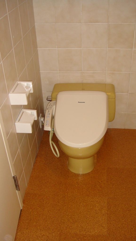 Toilet. Of course, it is with a bidet.