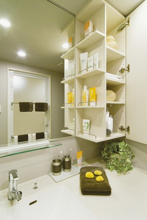 The vanity is, Established the open cabinet. Also established a housed in a side portion of the one side mirror, It is convenient and easy to remove.