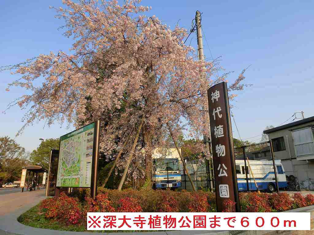 park. 600m until Jindaiji plant park (park)