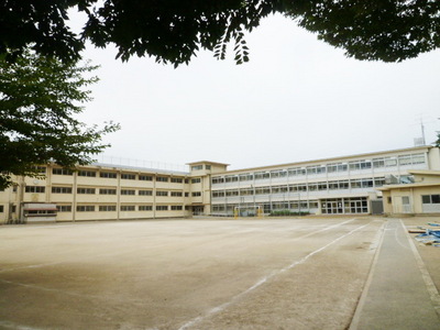 Primary school. Young leaves up to elementary school (elementary school) 520m