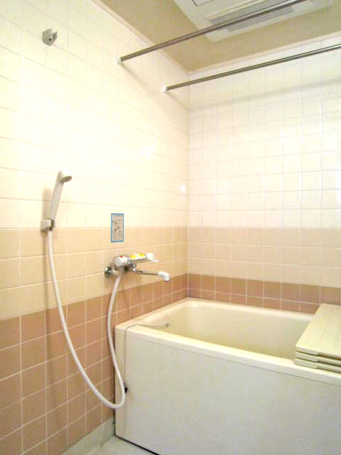 Bath. With bathroom ventilation dryer