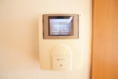 Security. It is a popular facility in the intercom woman with a TV monitor!