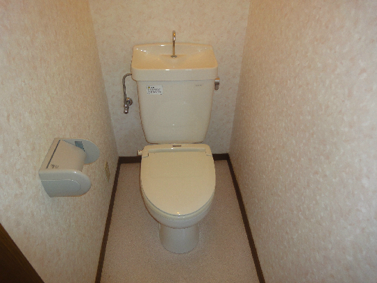 Toilet. Toilet