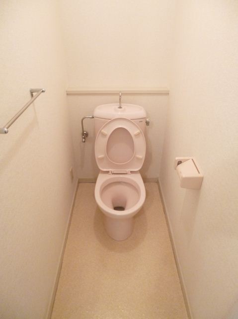 Toilet. Spacious toilet. 