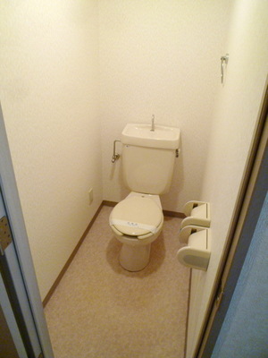 Toilet. Toilet