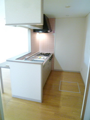 Kitchen. Kitchen space