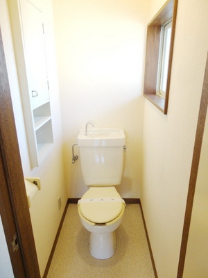 Toilet. With toilet shelf and window