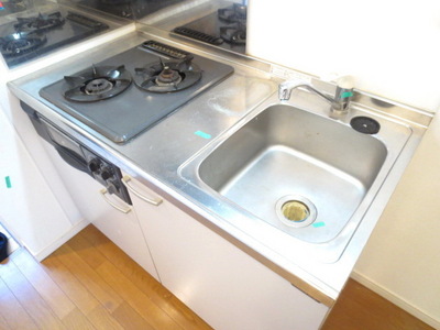 Kitchen. Popularity of gas stove 2-neck system Kitchen