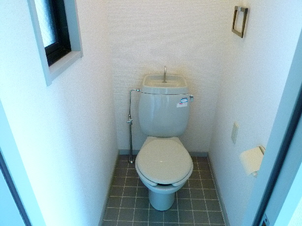 Toilet. Inverted type