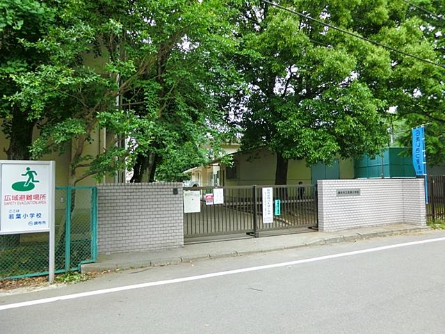 Primary school. Chofu Municipal Wakaba to elementary school 1147m