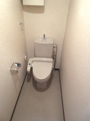 Toilet. Bidet with toilet