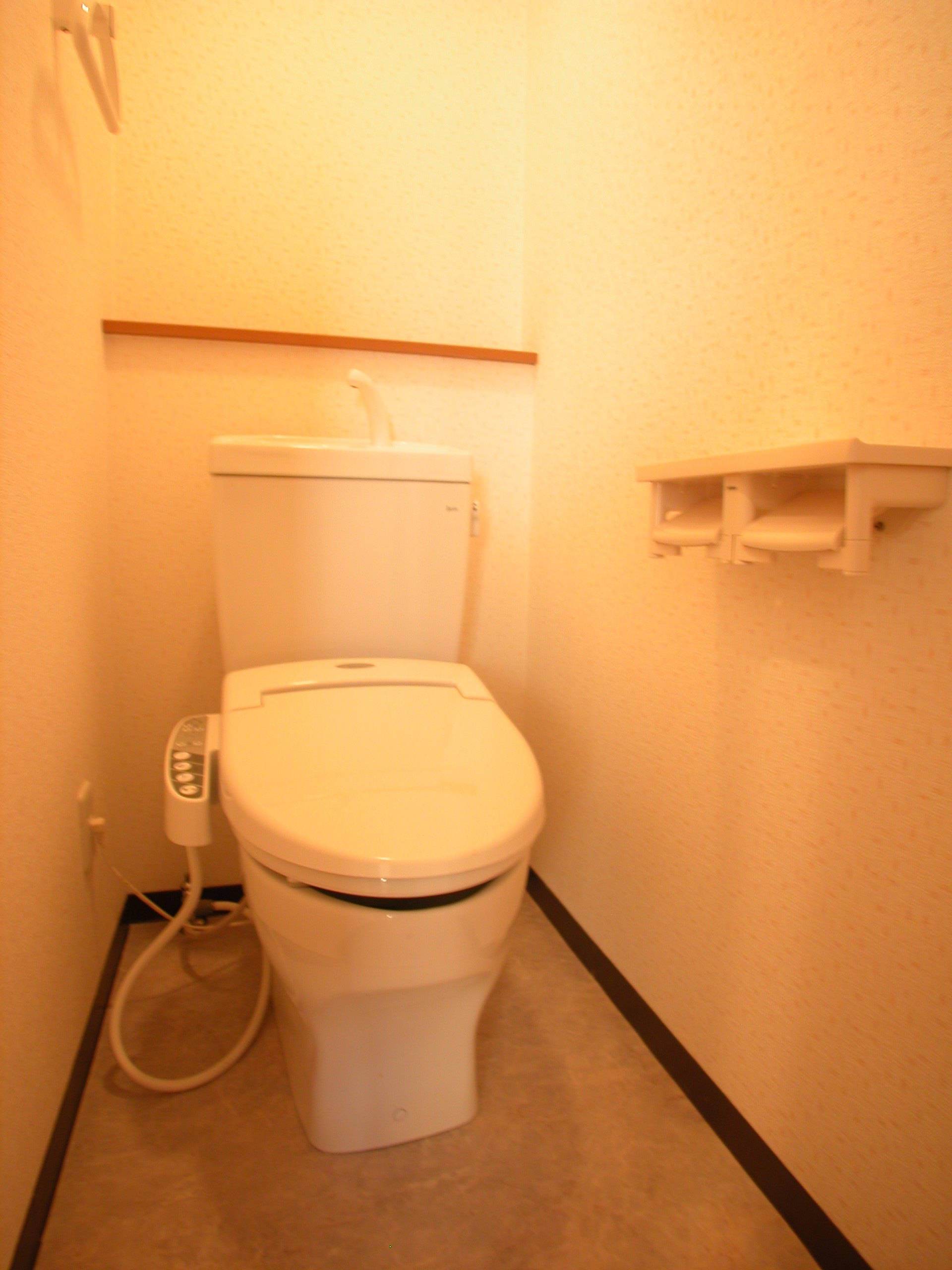 Toilet